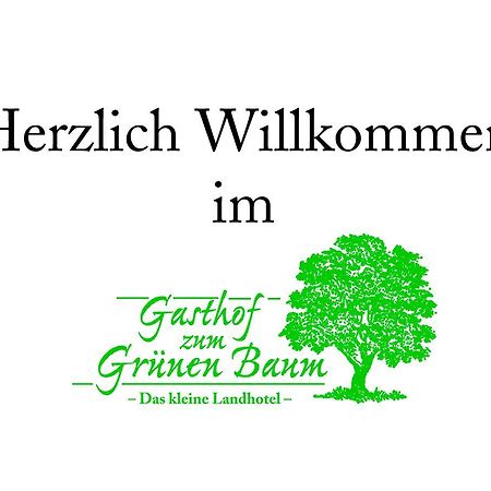Landhotel Gruener Baum Westendorf  エクステリア 写真